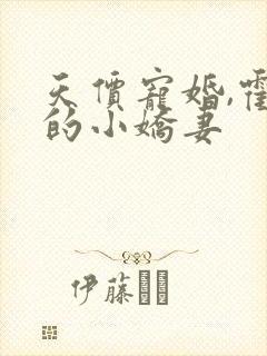 天价宠婚,霍总的小娇妻