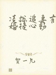 凌总追妻有点甜婚后心动