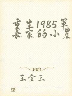 重生1985军长家的小农媳免费阅读封面