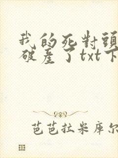 我的死对头终于破产了txt下载