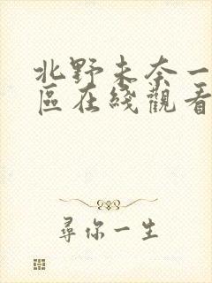 北野未奈一区二区在线观看