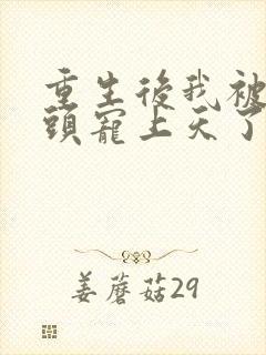 重生后我被死对头宠上天了