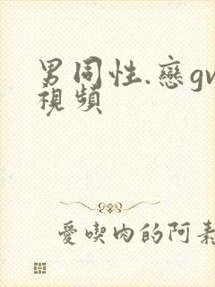 男同性.恋gv视频