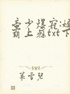 帝少爆宠:娇妻霸上瘾txt下载封面