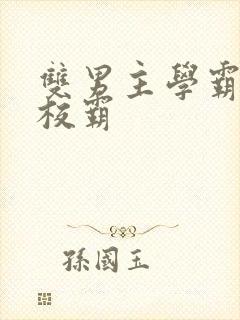 双男主学霸vs校霸