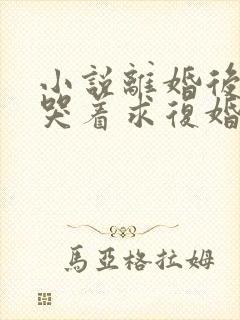 小说离婚后前夫哭着求复婚在线阅读