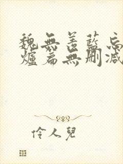 魏无羡蓝忘机香炉篇无删减封面