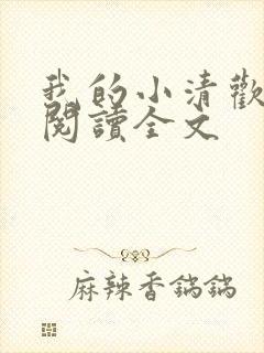 我的小清欢阅读阅读全文