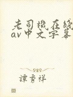 老司机在线观看av中文字幕