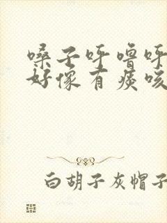 嗓子呼噜呼噜的好像有痰咳不出来