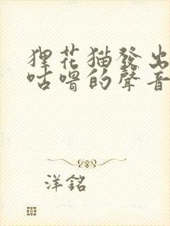 狸花猫发出咕噜咕噜的声音是为什么封面