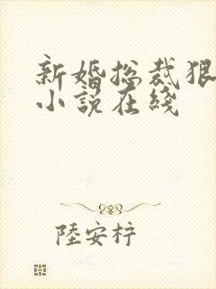 新婚总裁狠神秘小说在线封面