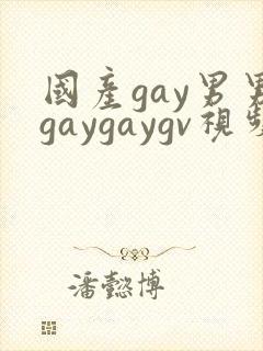 国产gay男男gaygaygv视频