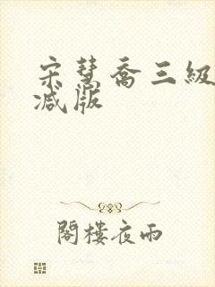 宋慧乔三级未删减版