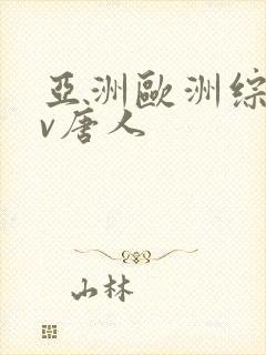 亚洲欧洲综合av唐人