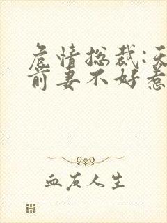 危情总裁:天价前妻不好惹