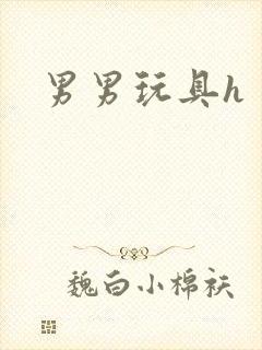 男男玩具h