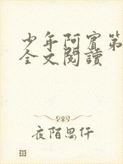 少年阿宾第一章全文阅读