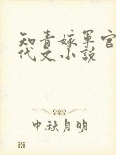 知青嫁军官的年代文小说