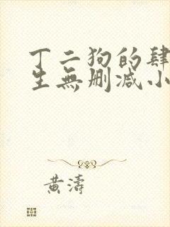 丁二狗的肆意人生无删减小说免费
