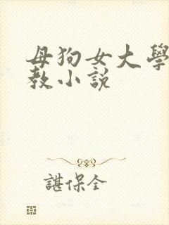 母狗女大学生调教小说封面