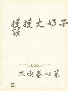 摸摸大奶子的小说