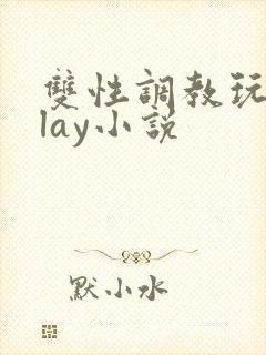 双性调教玩具play小说