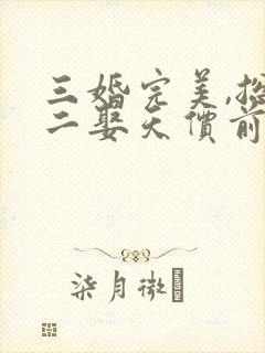 三婚完美,总裁二娶天价前妻