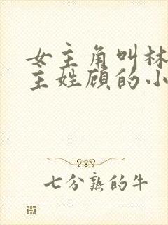 女主角叫林微男主姓顾的小说