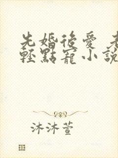 先婚后爱 老公轻点宠小说