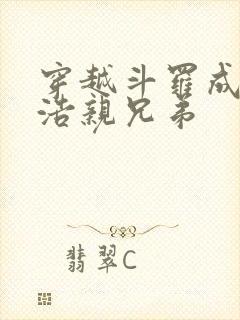 穿越斗罗成霍雨浩亲兄弟封面