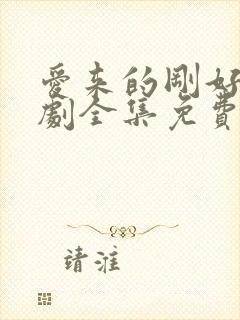 爱来的刚好电视剧全集免费观看完整版封面