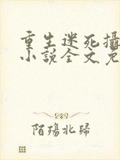 重生迷死摄政王小说全文免费阅读封面