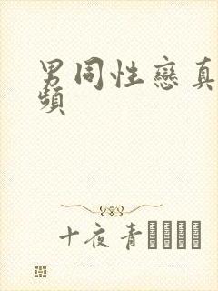 男同性恋真人视频