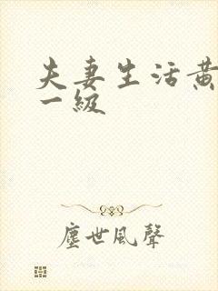 夫妻生活黄色片一级