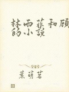 林雨菲和顾北潇的小说