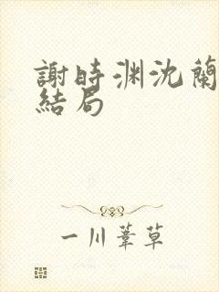 谢时渊沈兰辞大结局