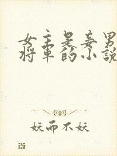 女主是妾男主是将军的小说