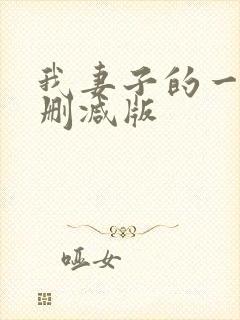 我妻子的一切未删减版