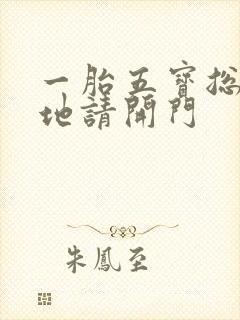 一胎五宝总裁爹地请开门