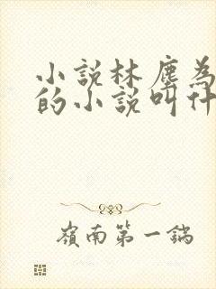 小说林尘为主角的小说叫什么名字