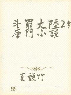 斗罗大陆2绝世唐门小说