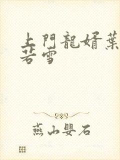 上门龙婿叶凡唐若雪