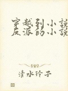 穿越到小说里当反派的小说封面