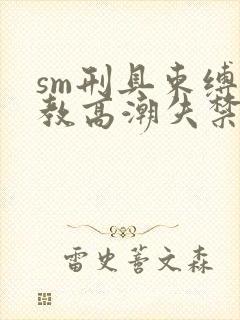 sm刑具束缚调教高潮失禁h文封面