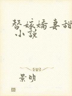 替嫁娇妻甜又飒 小说封面