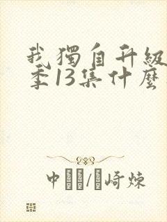 我独自升级第二季13集什么时候出