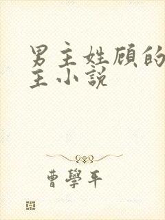 男主姓顾的双男主小说