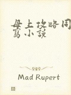 母上攻略同人续写小说