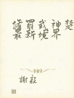 修罗武神楚枫的最新境界封面